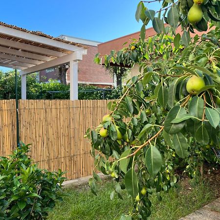 Civiconove Apartment Piombino Exterior photo